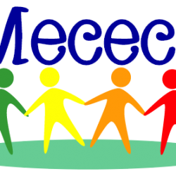 Progetto Mecec+ Progetto Mecec+